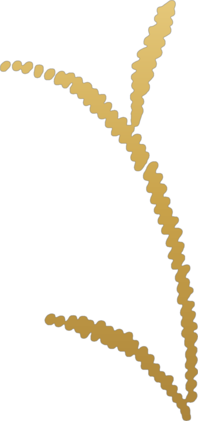Hergert Synthora